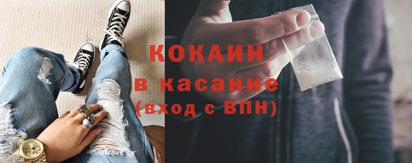 ГАЛЛЮЦИНОГЕННЫЕ ГРИБЫ Горняк