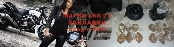 сатива Горно-Алтайск