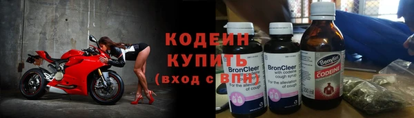 ГАЛЛЮЦИНОГЕННЫЕ ГРИБЫ Горняк