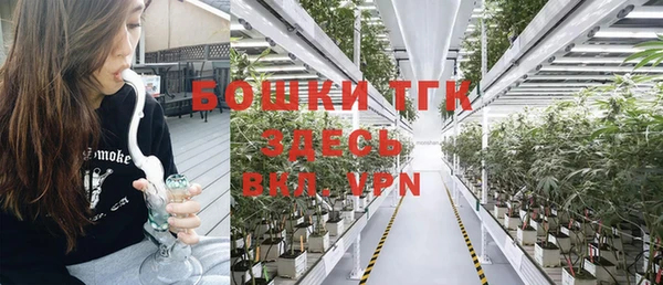 ГАЛЛЮЦИНОГЕННЫЕ ГРИБЫ Горняк