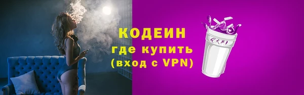 ГАЛЛЮЦИНОГЕННЫЕ ГРИБЫ Горняк