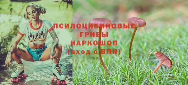 mix Горнозаводск