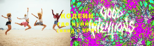 сатива Горно-Алтайск