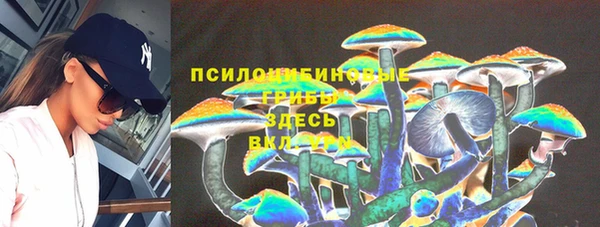 mix Горнозаводск