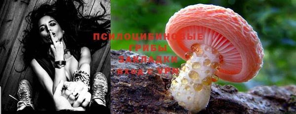 mix Горнозаводск