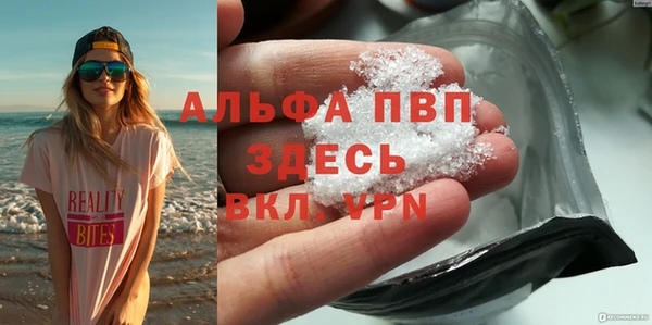 ГАЛЛЮЦИНОГЕННЫЕ ГРИБЫ Горняк