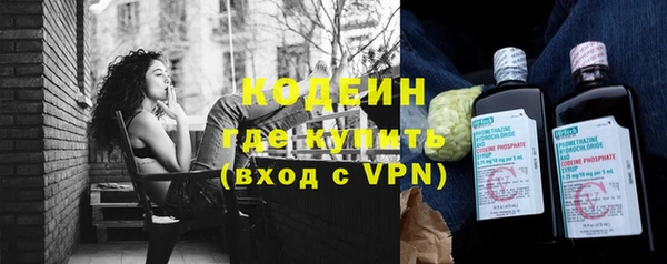 ГАЛЛЮЦИНОГЕННЫЕ ГРИБЫ Горняк