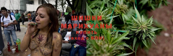 ГАЛЛЮЦИНОГЕННЫЕ ГРИБЫ Горняк