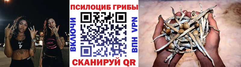 ОМГ ОМГ зеркало  Чистополь  Галлюциногенные грибы Psilocybine cubensis  дарнет шоп 